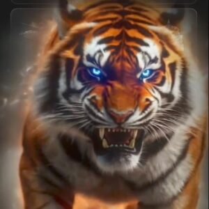 دخولية النمر اسبوع